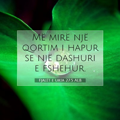 Picture 07 - Fjalët e urta 27:5 ALB - Më mirë një qortim i hapur se një dashuri e - Bible Verse Picture