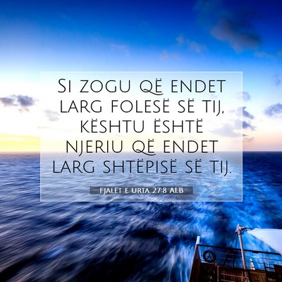 Picture 07 - Fjalët e urta 27:8 ALB - Si zogu që endet larg folesë së tij, kështu - Bible Verse Picture