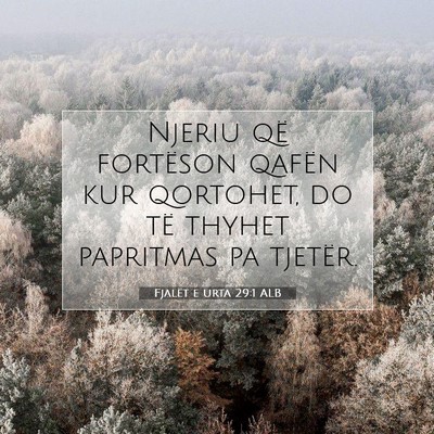 Picture 07 - Fjalët e urta 29:1 ALB - Njeriu që fortëson qafën kur qortohet, do të - Bible Verse Picture