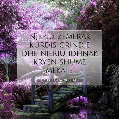 Picture 07 - Fjalët e urta 29:22 ALB - Njeriu zemërak kurdis grindje dhe njeriu idhnak - Bible Verse Picture