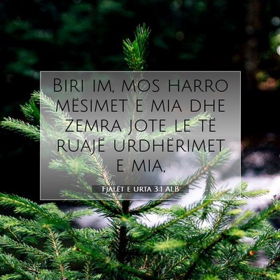 Picture 07 - Fjalët e urta 3:1 ALB - Biri im, mos harro mësimet e mia dhe zemra jote - Bible Verse Picture