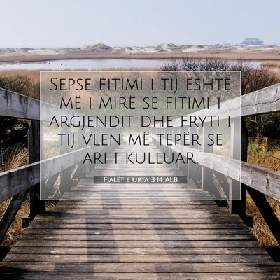 Picture 07 - Fjalët e urta 3:14 ALB - Sepse fitimi i tij është më i mirë se fitimi - Bible Verse Picture