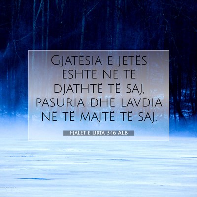 Picture 07 - Fjalët e urta 3:16 ALB - Gjatësia e jetës është në të djathtë të - Bible Verse Picture