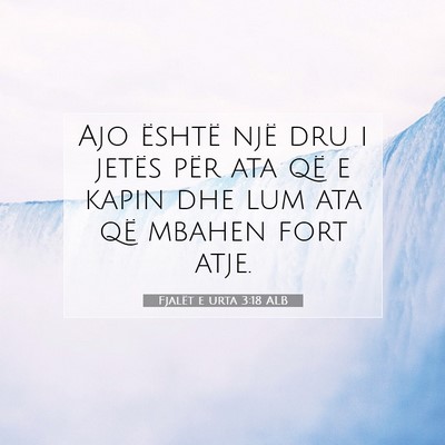 Picture 07 - Fjalët e urta 3:18 ALB - Ajo është një dru i jetës për ata që e - Bible Verse Picture