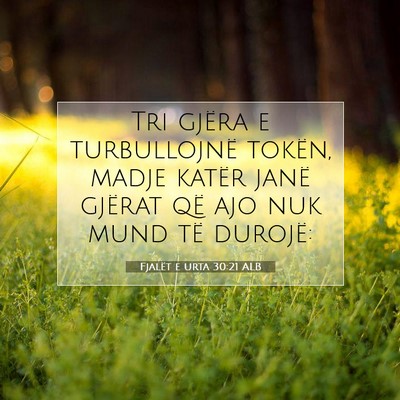 Picture 07 - Fjalët e urta 30:21 ALB - Tri gjëra e turbullojnë tokën, madje katër - Bible Verse Picture