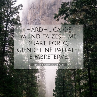 Picture 07 - Fjalët e urta 30:28 ALB - hardhuca që mund ta zësh me duart, por që - Bible Verse Picture