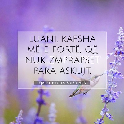 Picture 07 - Fjalët e urta 30:30 ALB - luani, kafsha më e fortë, që nuk zmprapset - Bible Verse Picture