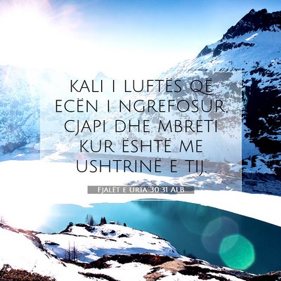 Picture 07 - Fjalët e urta 30:31 ALB - kali i luftës që ecën i ngrefosur, cjapi dhe - Bible Verse Picture
