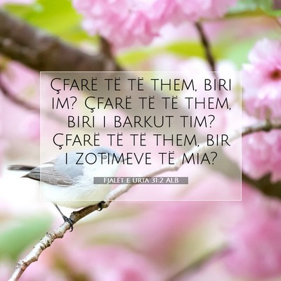 Picture 07 - Fjalët e urta 31:2 ALB - Çfarë të të them, biri im? Çfarë të të - Bible Verse Picture