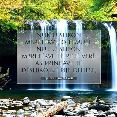 Picture 07 - Fjalët e urta 31:4 ALB - Nuk u shkon mbretërve, o Lemuel, nuk u shkon - Bible Verse Picture