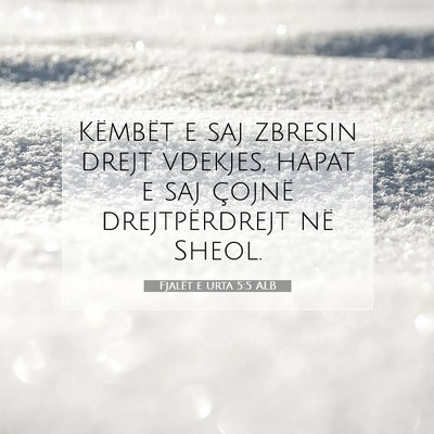 Picture 07 - Fjalët e urta 5:5 ALB - Këmbët e saj zbresin drejt vdekjes, hapat e saj - Bible Verse Picture