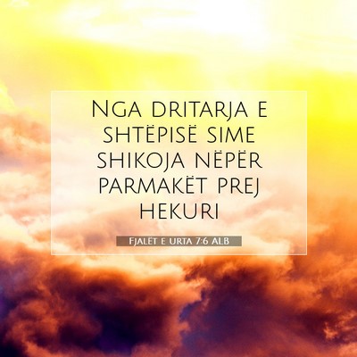 Picture 07 - Fjalët e urta 7:6 ALB - Nga dritarja e shtëpisë sime shikoja nëpër - Bible Verse Picture
