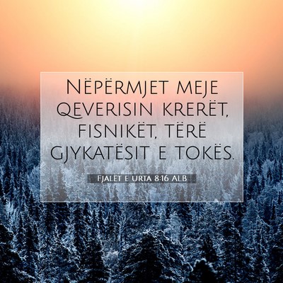 Picture 07 - Fjalët e urta 8:16 ALB - Nëpërmjet meje qeverisin krerët, fisnikët, - Bible Verse Picture