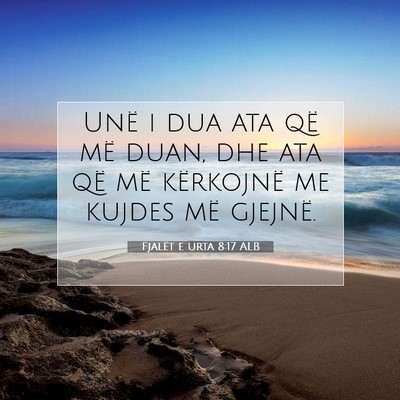 Picture 07 - Fjalët e urta 8:17 ALB - Unë i dua ata që më duan, dhe ata që më - Bible Verse Picture