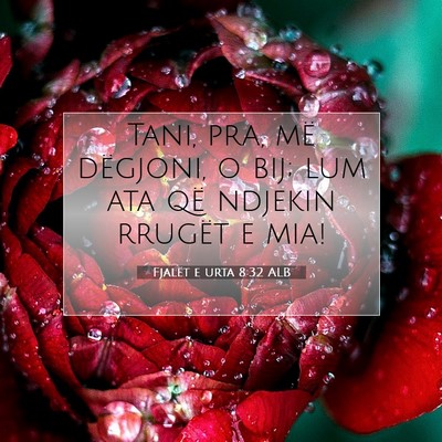 Picture 07 - Fjalët e urta 8:32 ALB - Tani, pra, më dëgjoni, o bij; lum ata që - Bible Verse Picture