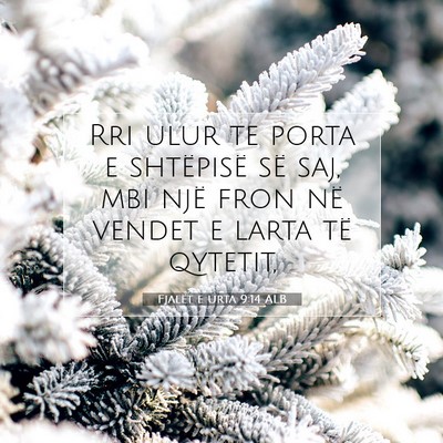 Picture 07 - Fjalët e urta 9:14 ALB - Rri ulur te porta e shtëpisë së saj, mbi një - Bible Verse Picture