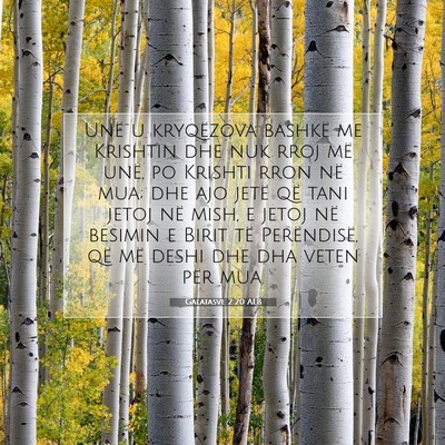 Picture 07 - Galatasve 2:20 ALB - Unë u kryqëzova bashkë me Krishtin dhe nuk - Bible Verse Picture