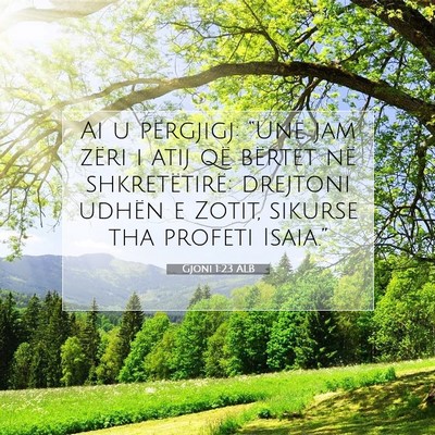 Picture 07 - Gjoni 1:23 ALB - Ai u përgjigj: “Unë jam zëri i atij që - Bible Verse Picture