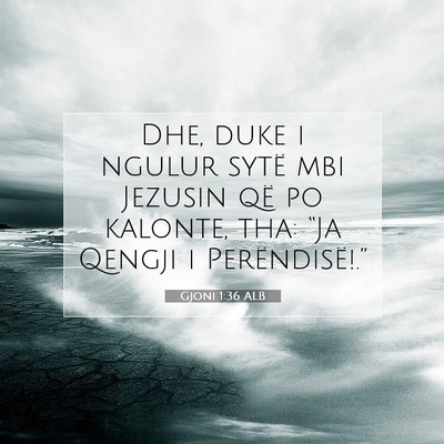 Picture 07 - Gjoni 1:36 ALB - Dhe, duke i ngulur sytë mbi Jezusin që po - Bible Verse Picture