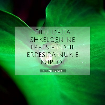 Picture 07 - Gjoni 1:5 ALB - Dhe drita shkëlqen në errësirë dhe errësira - Bible Verse Picture
