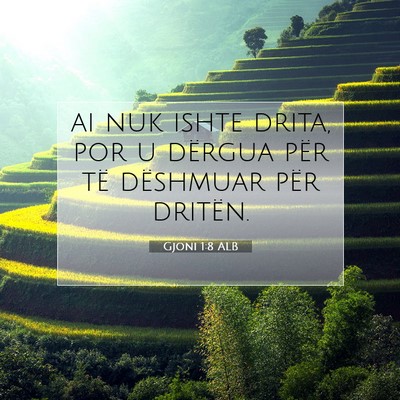 Picture 07 - Gjoni 1:8 ALB - ai nuk ishte drita, por u dërgua për të - Bible Verse Picture