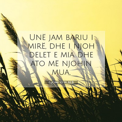 Picture 07 - Gjoni 10:14 ALB - Unë jam bariu i mirë, dhe i njoh delet e mia - Bible Verse Picture