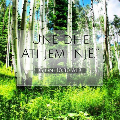 Picture 07 - Gjoni 10:30 ALB - Unë dhe Ati jemi - Bible Verse Picture