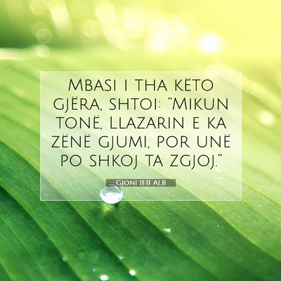 Picture 07 - Gjoni 11:11 ALB - Mbasi i tha këto gjëra, shtoi: “Mikun tonë, - Bible Verse Picture