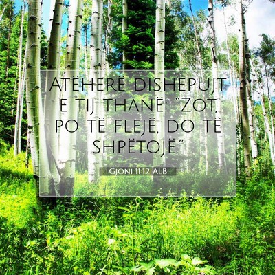 Picture 07 - Gjoni 11:12 ALB - Atëherë dishepujt e tij thanë: “Zot, po të - Bible Verse Picture