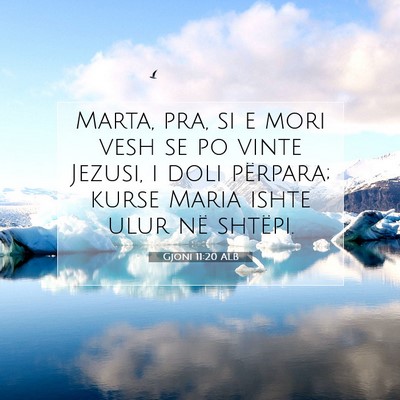 Picture 07 - Gjoni 11:20 ALB - Marta, pra, si e mori vesh se po vinte Jezusi, i - Bible Verse Picture
