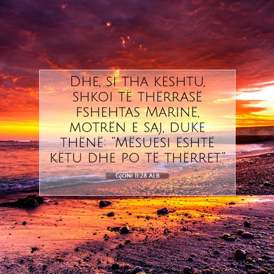 Picture 07 - Gjoni 11:28 ALB - Dhe, si tha kështu, shkoi të thërrasë - Bible Verse Picture