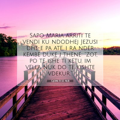 Picture 07 - Gjoni 11:32 ALB - Sapo Maria arriti te vendi ku ndodhej Jezusi dhe - Bible Verse Picture