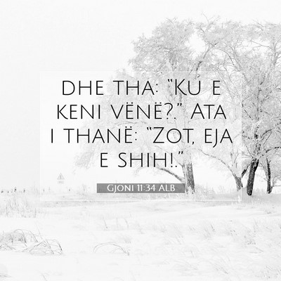 Picture 07 - Gjoni 11:34 ALB - dhe tha: “Ku e keni vënë?.” Ata i thanë: - Bible Verse Picture