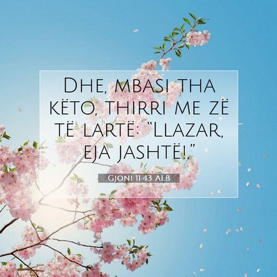 Picture 07 - Gjoni 11:43 ALB - Dhe, mbasi tha këto, thirri me zë të lartë: - Bible Verse Picture