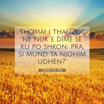 Picture 07 - Gjoni 14:5 ALB - Thomai i tha: “Zot, ne nuk e dimë se ku po - Bible Verse Picture
