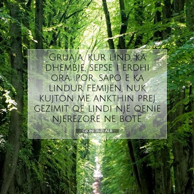 Picture 07 - Gjoni 16:21 ALB - Gruaja, kur lind, ka dhembje, sepse i erdhi ora; - Bible Verse Picture
