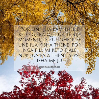 Picture 07 - Gjoni 16:4 ALB - Por unë jua kam thënë këto gjëra që, kur - Bible Verse Picture