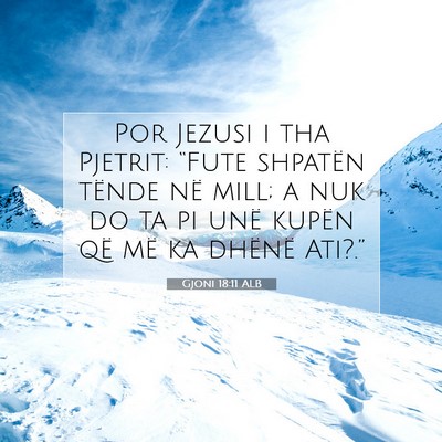 Picture 07 - Gjoni 18:11 ALB - Por Jezusi i tha Pjetrit: “Fute shpatën tënde - Bible Verse Picture