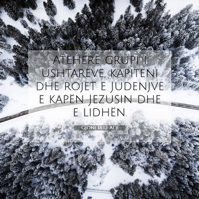 Picture 07 - Gjoni 18:12 ALB - Atëherë grupi i ushtarëve, kapiteni dhe rojet - Bible Verse Picture