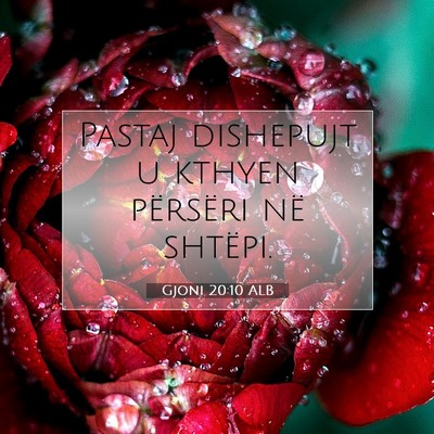 Picture 07 - Gjoni 20:10 ALB - Pastaj dishepujt u kthyen përsëri në - Bible Verse Picture