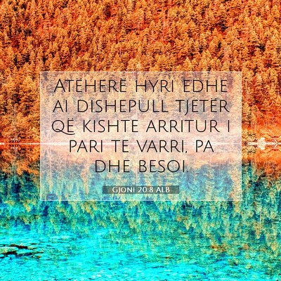 Picture 07 - Gjoni 20:8 ALB - Atëherë hyri edhe ai dishepull tjetër që - Bible Verse Picture