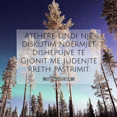 Picture 07 - Gjoni 3:25 ALB - Atëherë lindi një diskutim ndërmjet - Bible Verse Picture