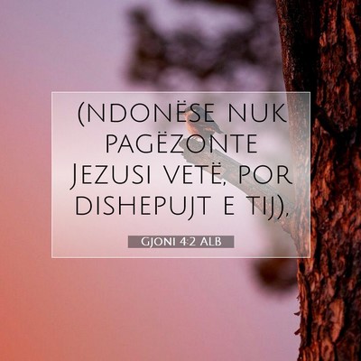 Picture 07 - Gjoni 4:2 ALB - (ndonëse nuk pagëzonte Jezusi vetë, por - Bible Verse Picture