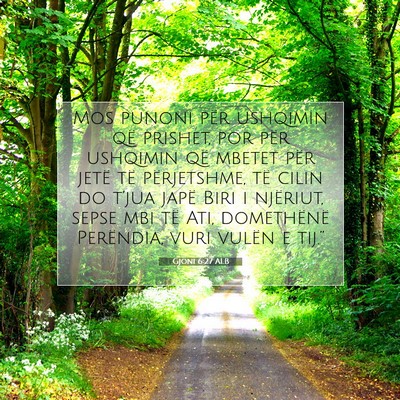 Picture 07 - Gjoni 6:27 ALB - Mos punoni për ushqimin që prishet, por për - Bible Verse Picture