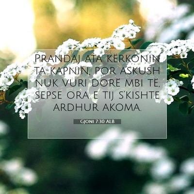 Picture 07 - Gjoni 7:30 ALB - Prandaj ata kërkonin ta kapnin, por askush nuk - Bible Verse Picture