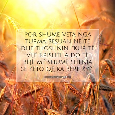 Picture 07 - Gjoni 7:31 ALB - Por shumë veta nga turma besuan në të dhe - Bible Verse Picture