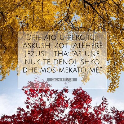 Picture 07 - Gjoni 8:11 ALB - Dhe ajo u përgjigj: “Askush, Zot.” Atëherë - Bible Verse Picture