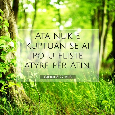 Picture 07 - Gjoni 8:27 ALB - Ata nuk e kuptuan se ai po u fliste atyre për - Bible Verse Picture
