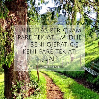 Picture 07 - Gjoni 8:38 ALB - Unë flas për ç’kam parë tek Ati im, dhe ju - Bible Verse Picture