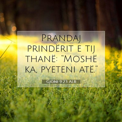 Picture 07 - Gjoni 9:23 ALB - Prandaj prindërit e tij thanë: “Moshë ka, - Bible Verse Picture